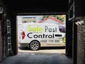 point-piper-safe-pest-control-sydney