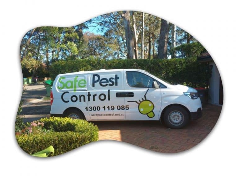 pest control rouse hill