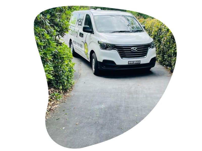 Pest Control Rushcutters Bay​