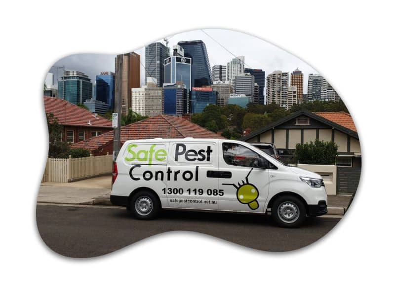 Pest Control Double Bay