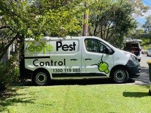 Safe pest control technician servicing a house in sydney
