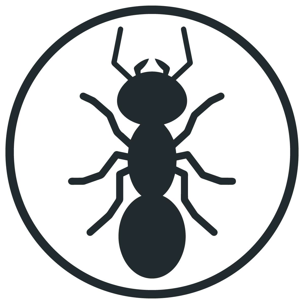Ant service in sydney for homes and businesses
