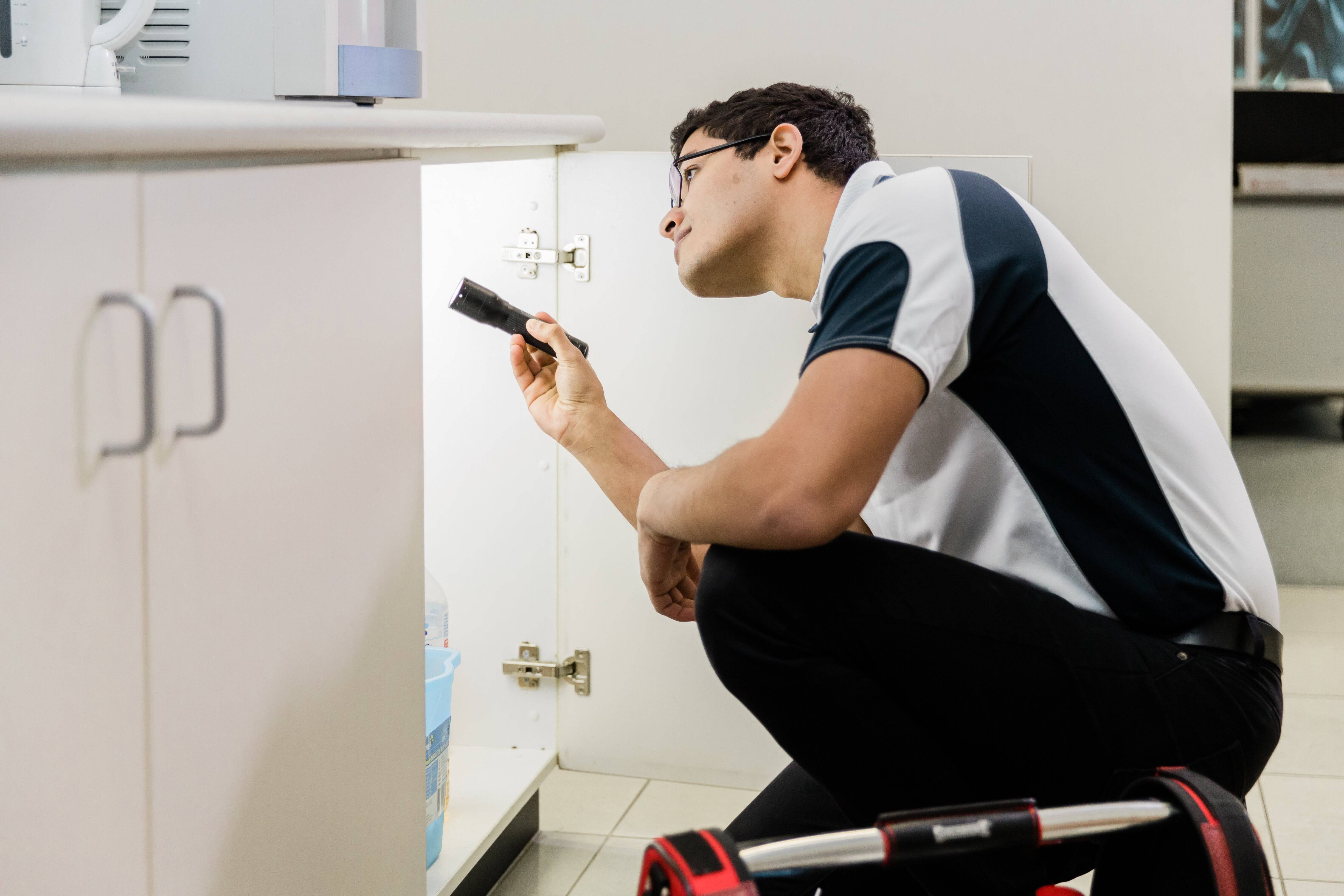 safe Pest control technician carrying out pest inspection in a kitchen