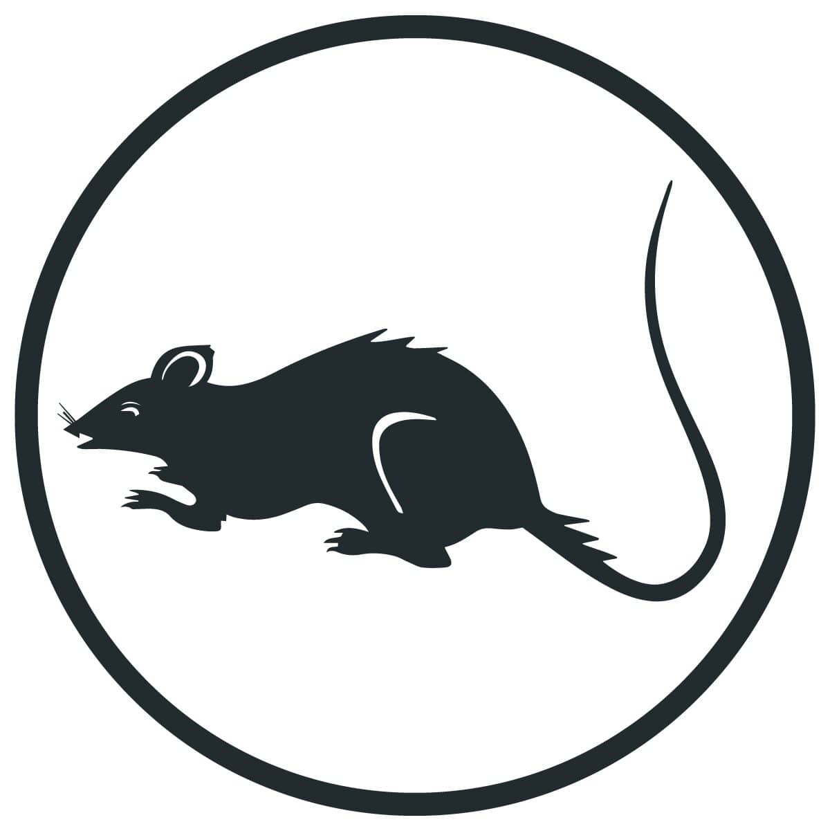 Rats pest control service in sydney for homes and businesses