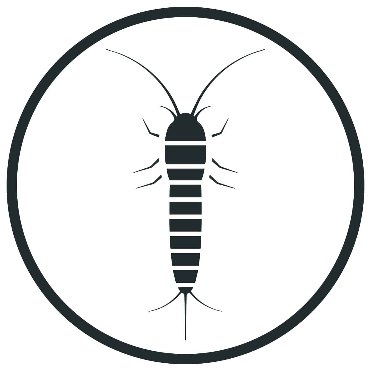 silverfish pest control service in sydney for homes and businesses