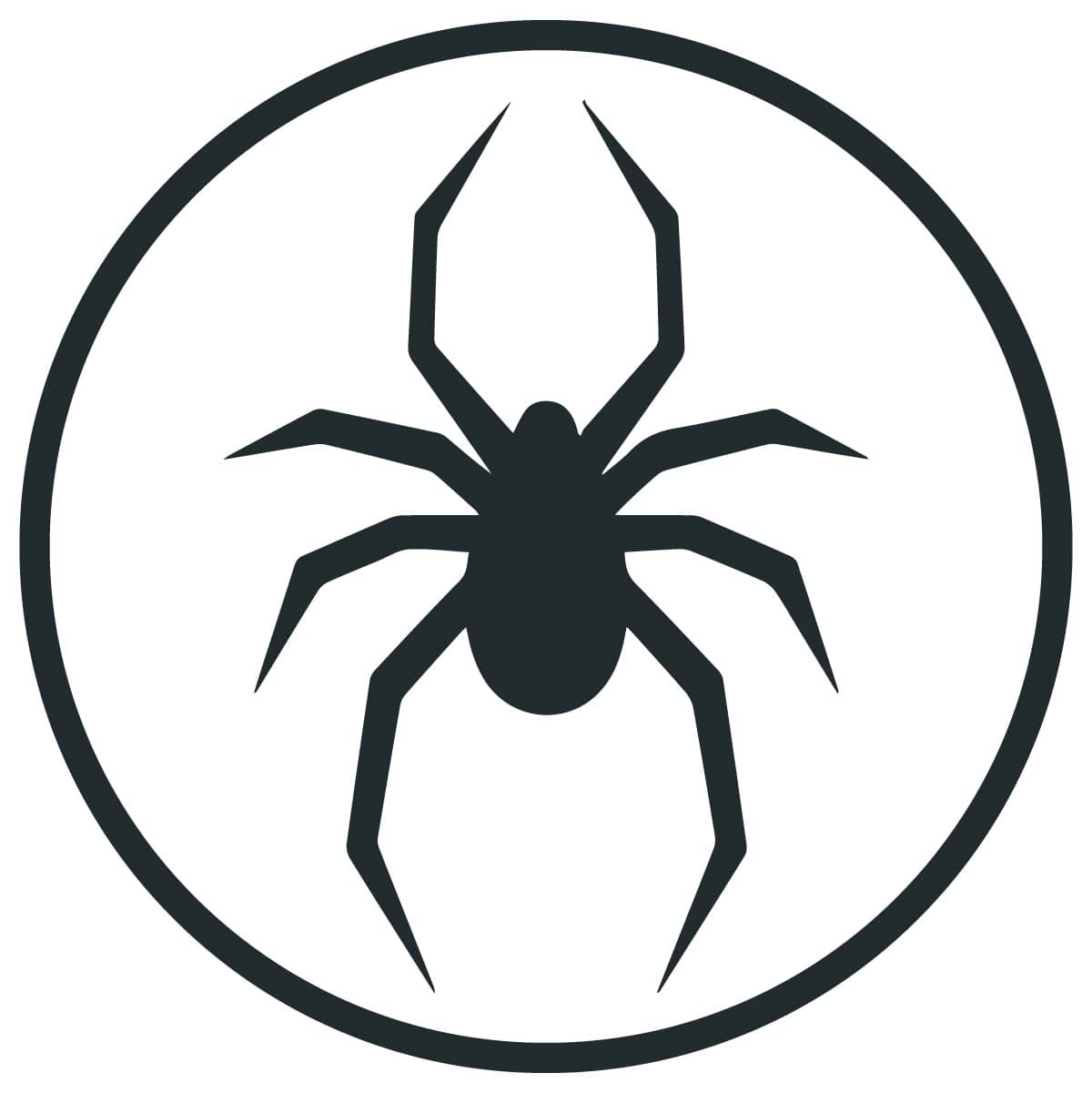 Spider pest control service in sydney for homes and businesses