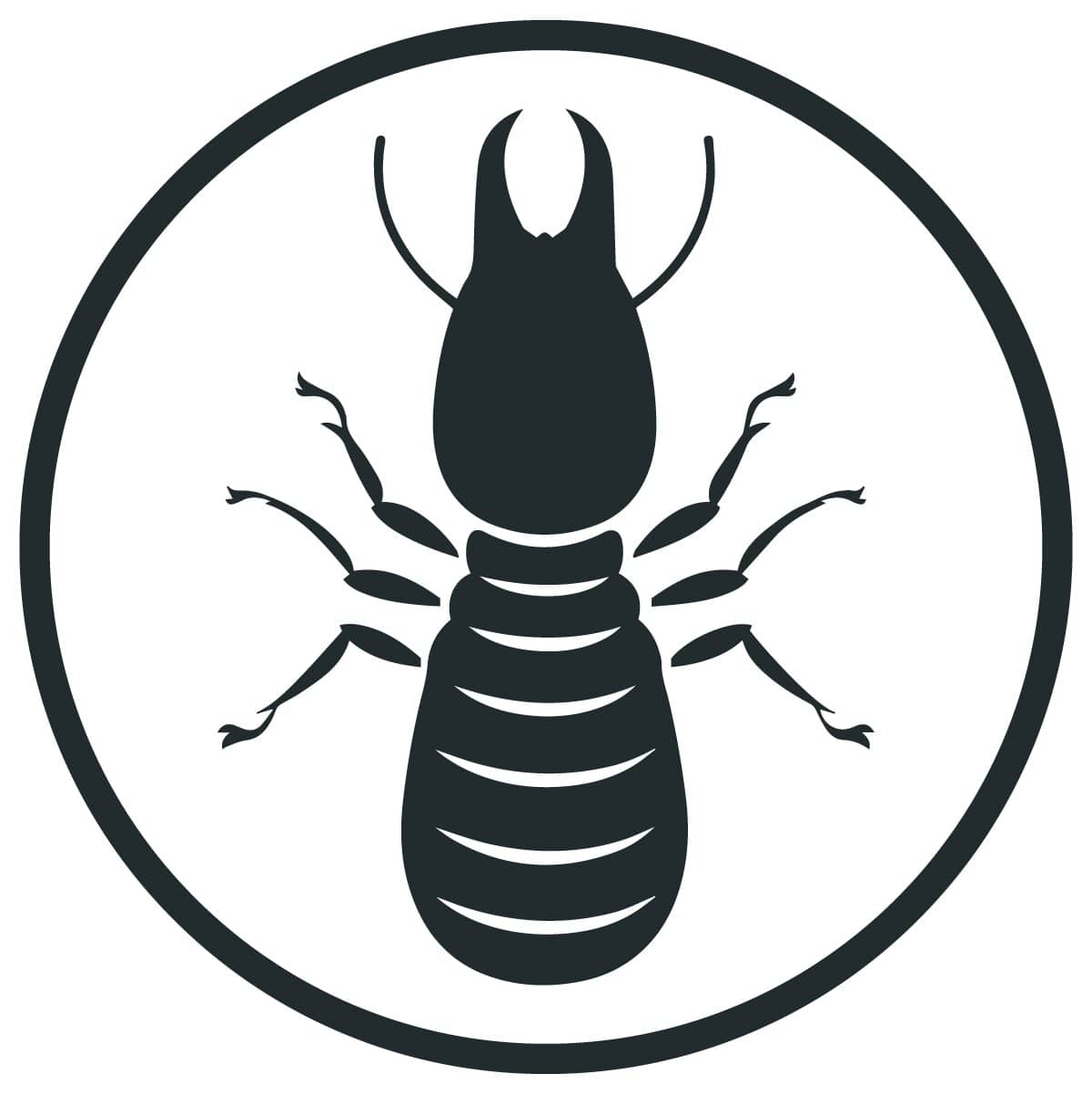 Termite pest control service in sydney for homes and businesses