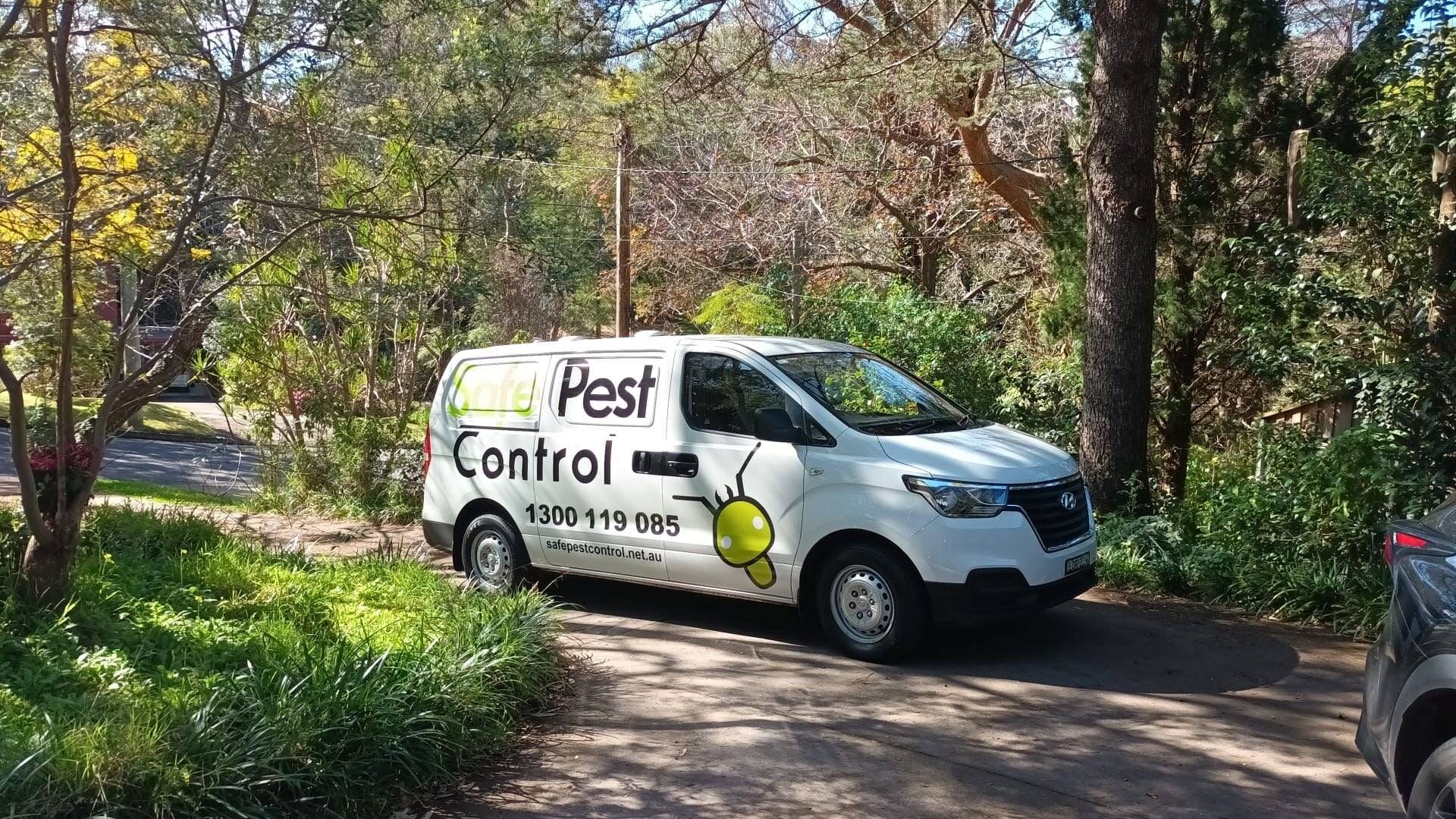 safe pest control technican carrying out spray service in sydney