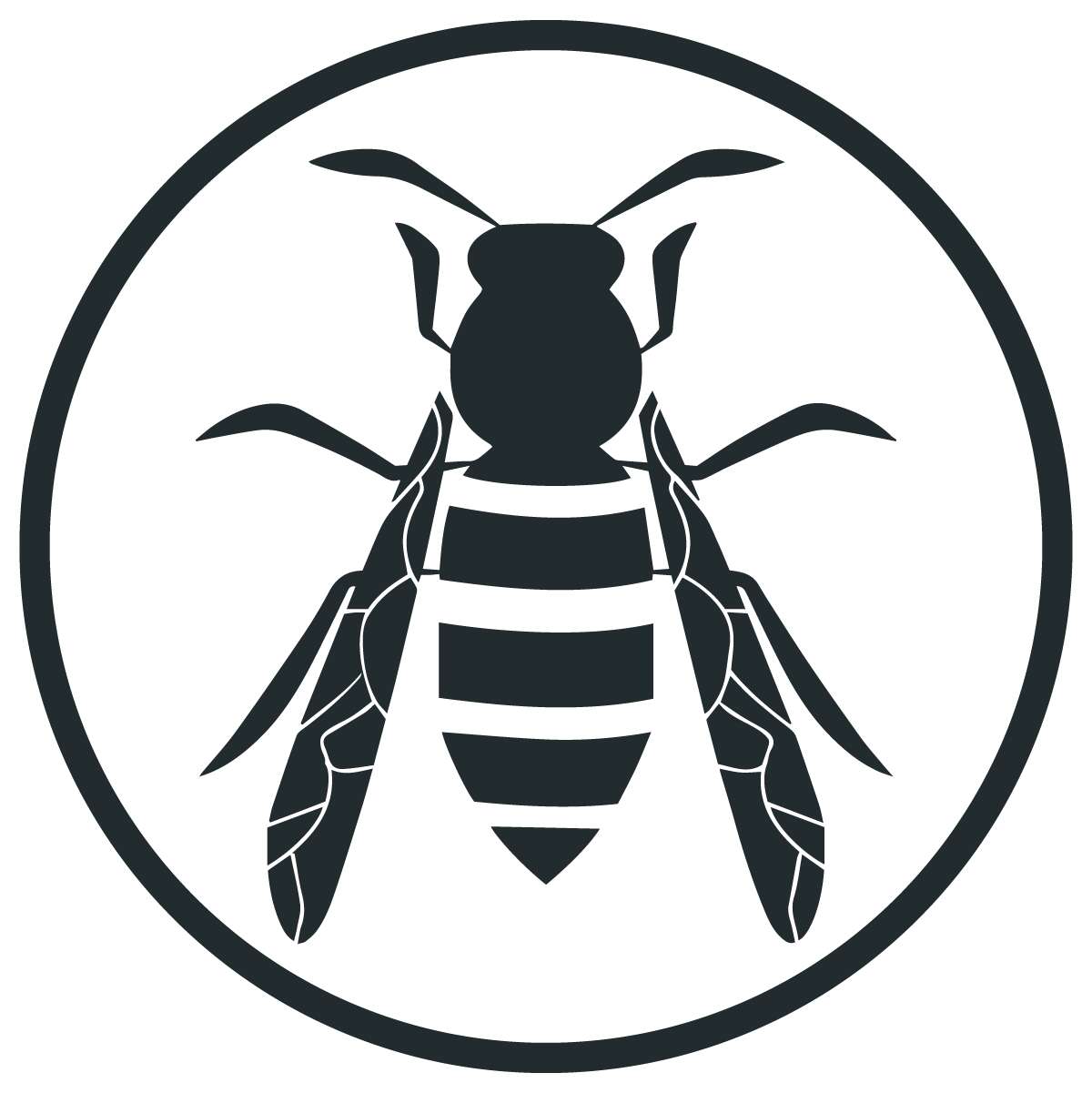 wasp control service in sydney for homes and businesses