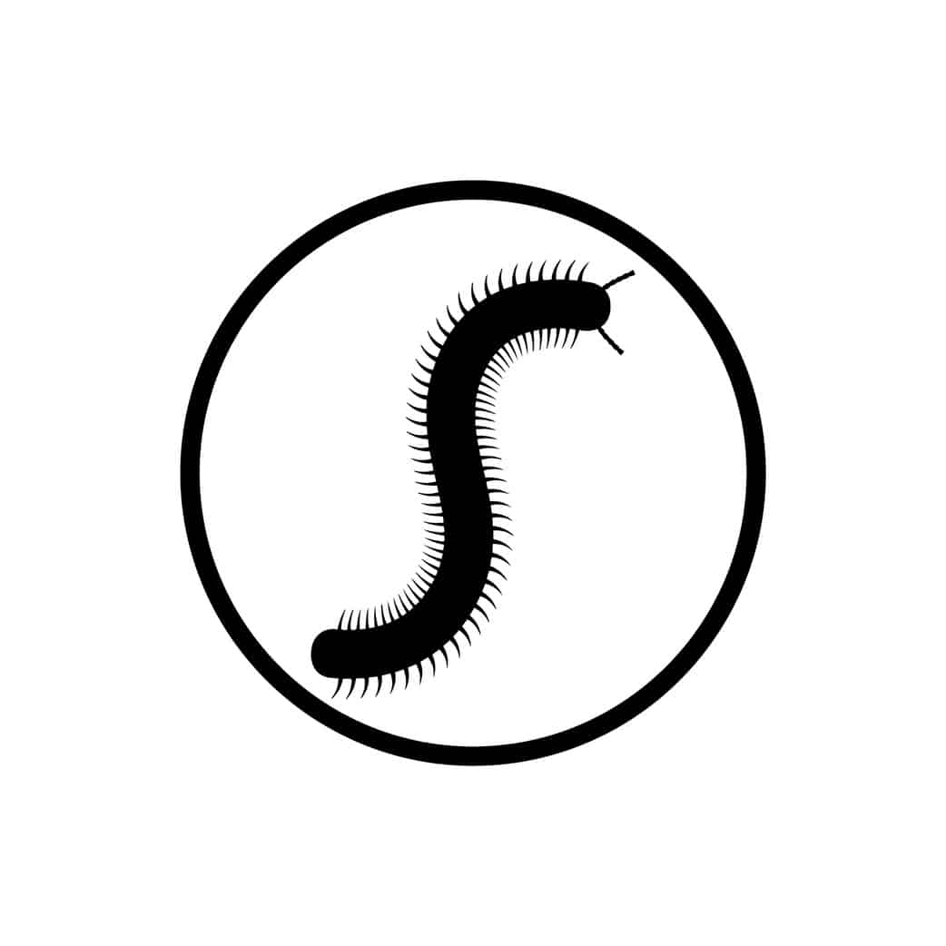 millipede Icon