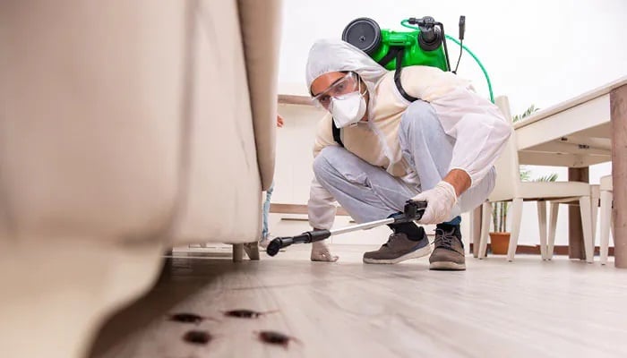 best pest control services