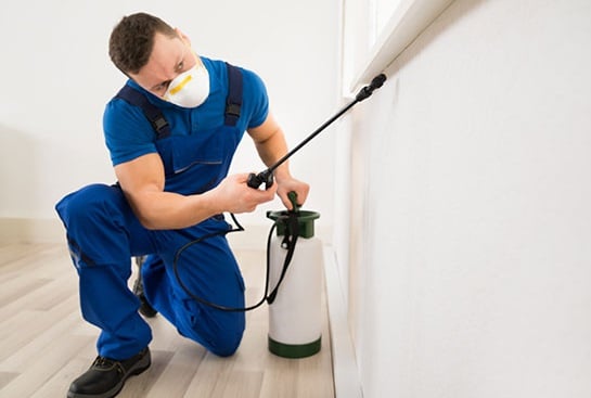 best Pest Control Services