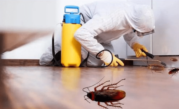 reliable pest control