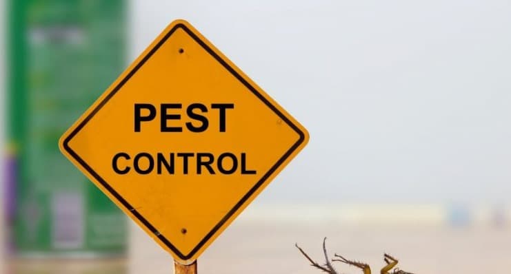 Safe Pest Control