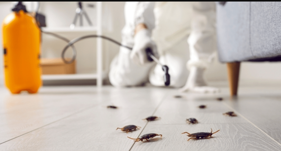 reliable pest control tips